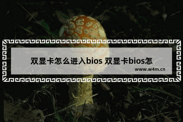 双显卡怎么进入bios 双显卡bios怎么设置