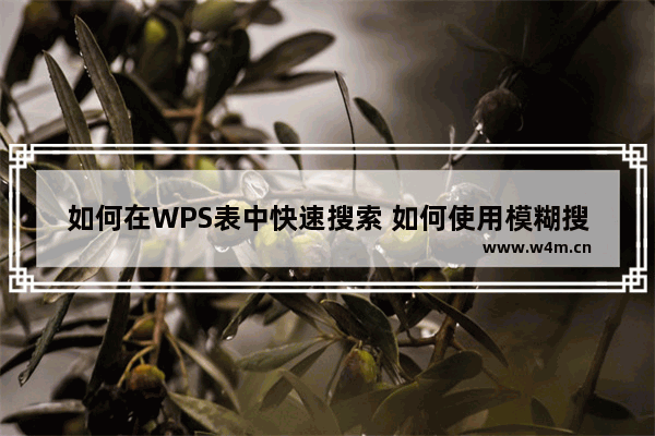 如何在WPS表中快速搜索 如何使用模糊搜索和精确搜索