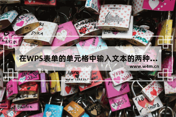 在WPS表单的单元格中输入文本的两种方法及注意事项