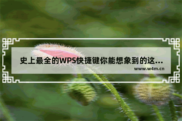 史上最全的WPS快捷键你能想象到的这里都有