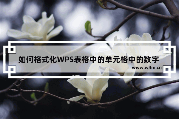 如何格式化WPS表格中的单元格中的数字 以指定的格式显示它们