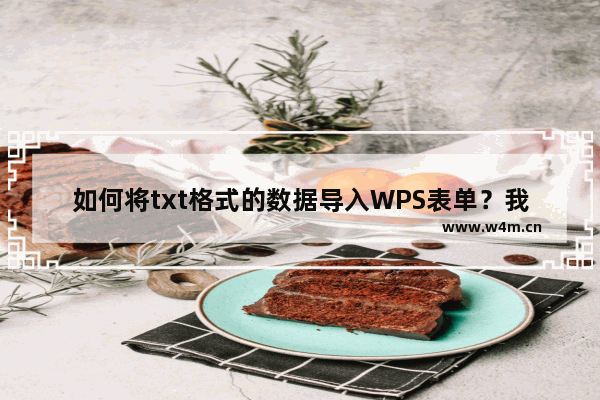 如何将txt格式的数据导入WPS表单？我想进一步处理数据