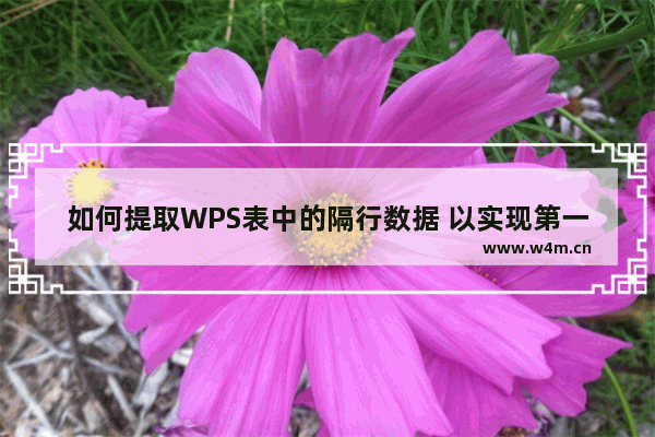 如何提取WPS表中的隔行数据 以实现第一列和第二列的奇偶行数据