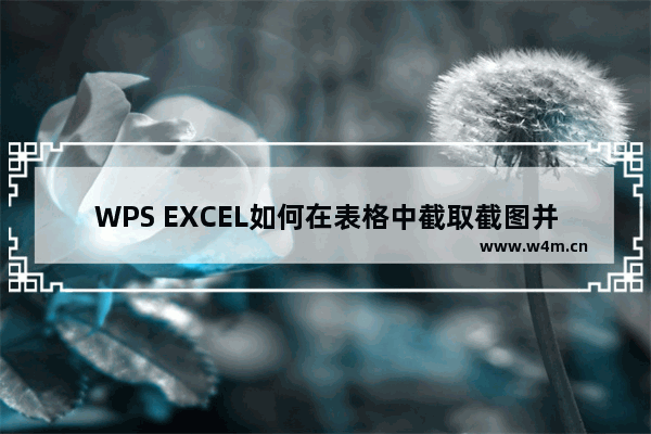 WPS EXCEL如何在表格中截取截图并将所选部分粘贴为图片