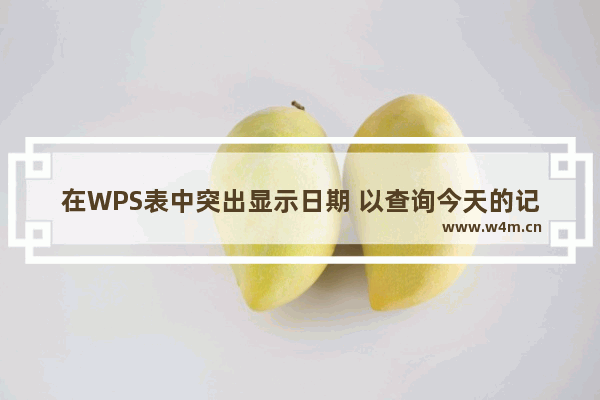 在WPS表中突出显示日期 以查询今天的记录