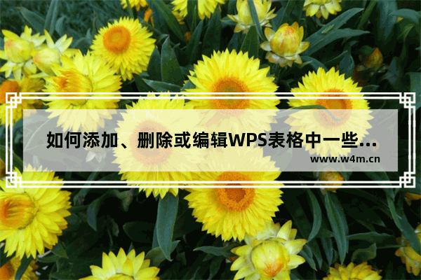 如何添加、删除或编辑WPS表格中一些不常见内容的注释