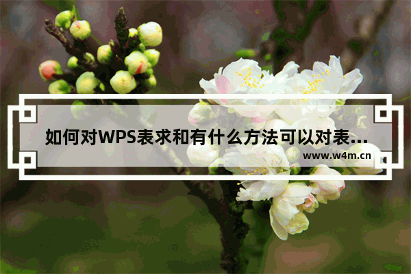 如何对WPS表求和有什么方法可以对表数据求和