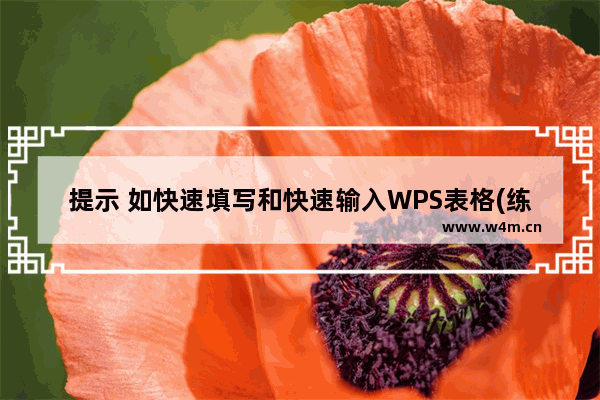 提示 如快速填写和快速输入WPS表格(练习所必需的)