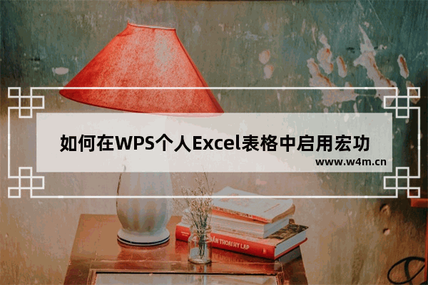 如何在WPS个人Excel表格中启用宏功能来使用VBA