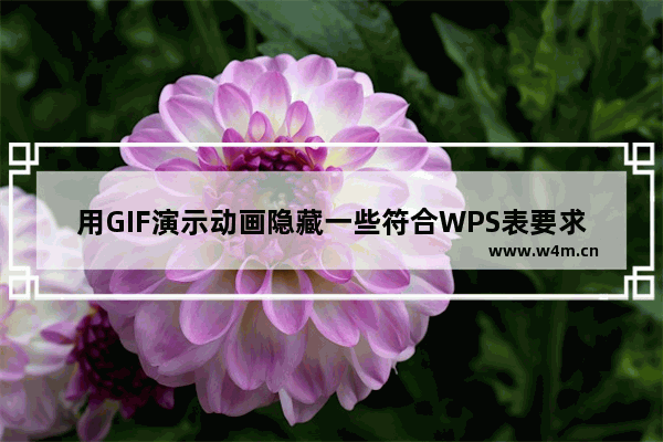 用GIF演示动画隐藏一些符合WPS表要求的特殊数据