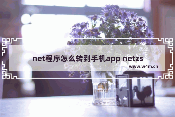 net程序怎么转到手机app netzsch怎么导出数据