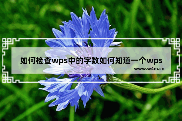 如何检查wps中的字数如何知道一个wps文档有多少字