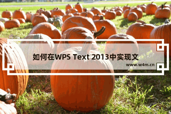 如何在WPS Text 2013中实现文本添加删除线的效果