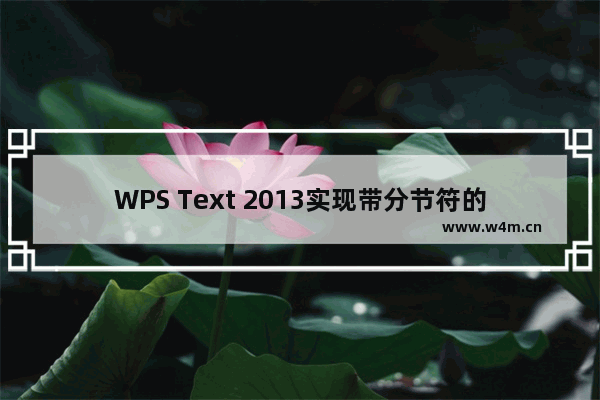 WPS Text 2013实现带分节符的复杂交错页面