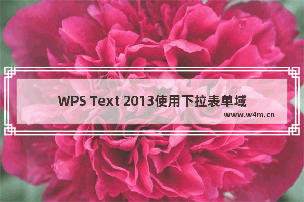 WPS Text 2013使用下拉表单域控件来标准化表单填充格式