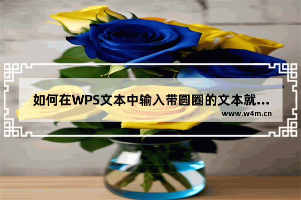 如何在WPS文本中输入带圆圈的文本就是圈出一个数字或符号