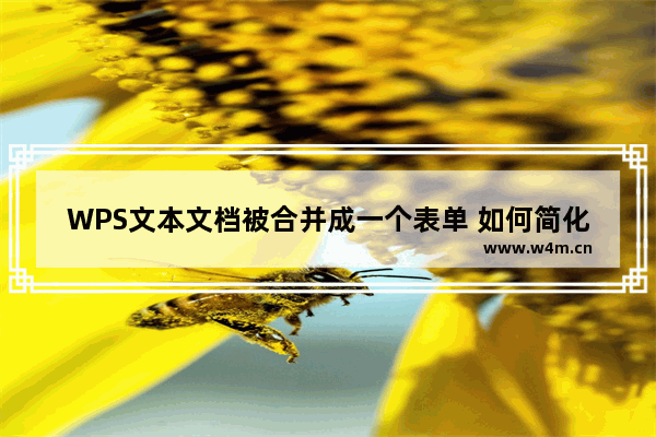 WPS文本文档被合并成一个表单 如何简化内容检查的形式