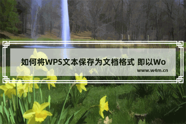 如何将WPS文本保存为文档格式 即以Word格式打开的Word格式