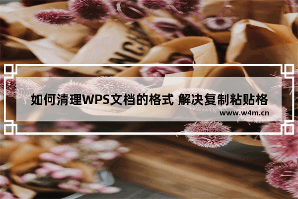 如何清理WPS文档的格式 解决复制粘贴格式混乱的问题