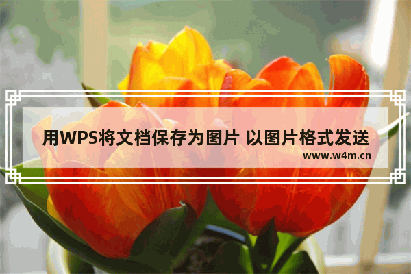 用WPS将文档保存为图片 以图片格式发送信息以防止复制