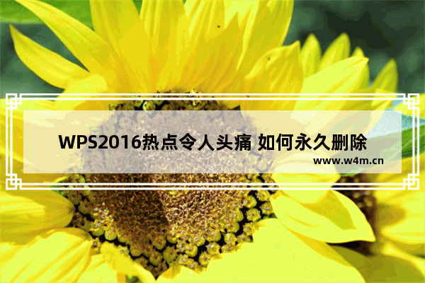 WPS2016热点令人头痛 如何永久删除它