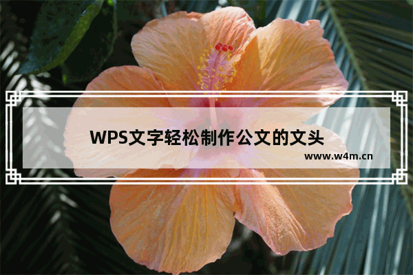 WPS文字轻松制作公文的文头