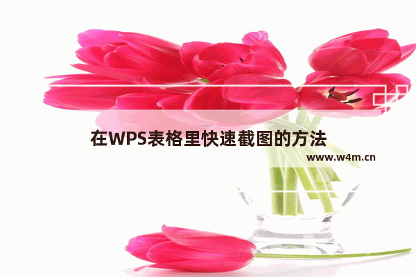 在WPS表格里快速截图的方法