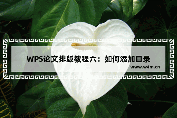 WPS论文排版教程六：如何添加目录