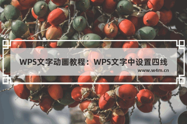 WPS文字动画教程：WPS文字中设置四线表的方法