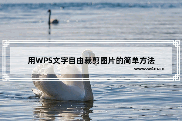 用WPS文字自由裁剪图片的简单方法