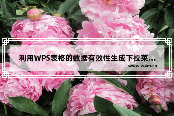 利用WPS表格的数据有效性生成下拉菜单的方法