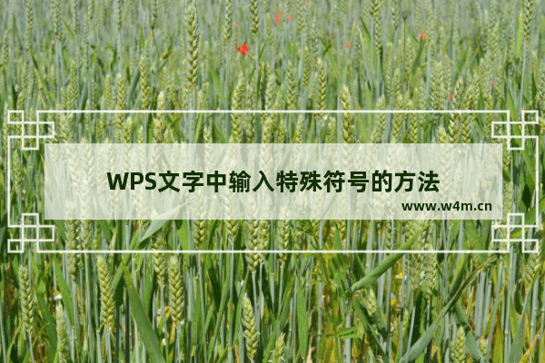 WPS文字中输入特殊符号的方法