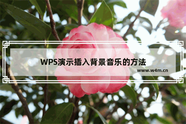 WPS演示插入背景音乐的方法