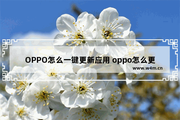 OPPO怎么一键更新应用 oppo怎么更新软件最新版本