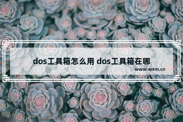 dos工具箱怎么用 dos工具箱在哪