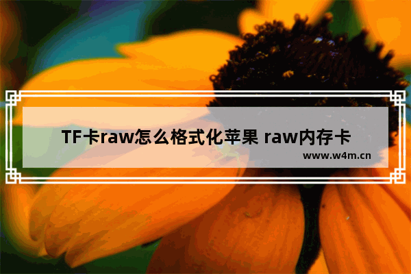 TF卡raw怎么格式化苹果 raw内存卡怎么格式化