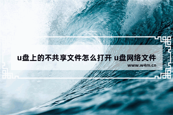 u盘上的不共享文件怎么打开 u盘网络文件和文件夹不共享