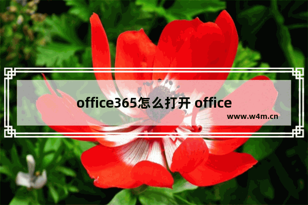 office365怎么打开 office365zhcn