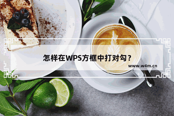 怎样在WPS方框中打对勾？