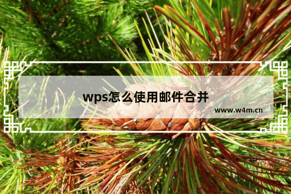 wps怎么使用邮件合并