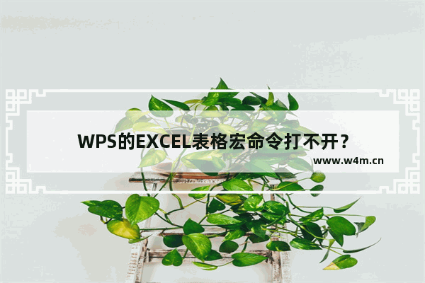 WPS的EXCEL表格宏命令打不开？