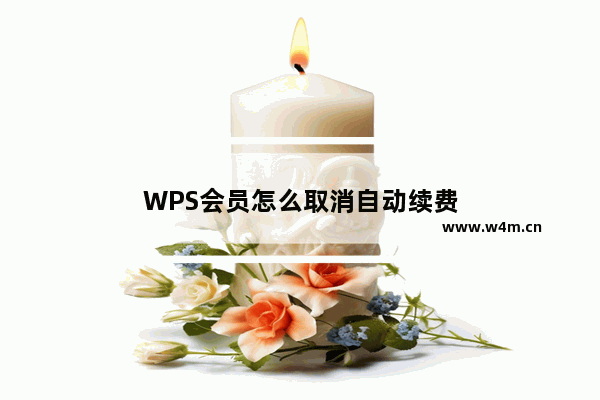 WPS会员怎么取消自动续费