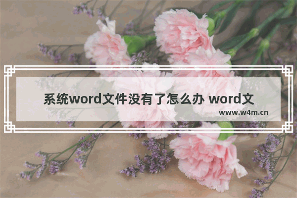 系统word文件没有了怎么办 word文件没有了是怎么回事