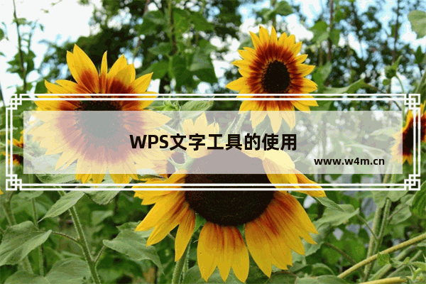 WPS文字工具的使用