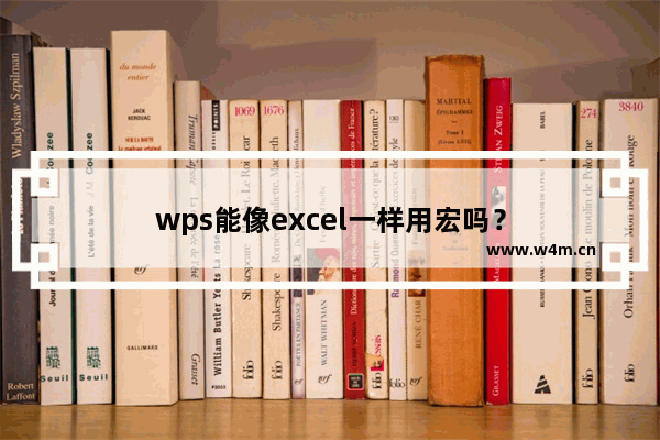 wps能像excel一样用宏吗？