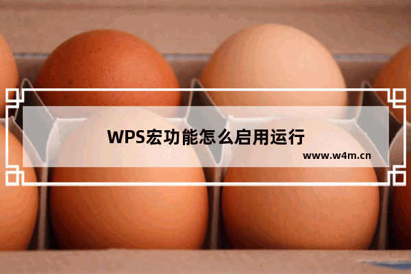 WPS宏功能怎么启用运行