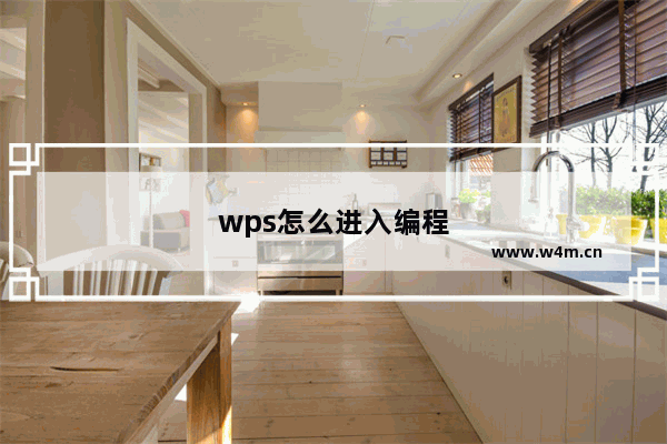 wps怎么进入编程