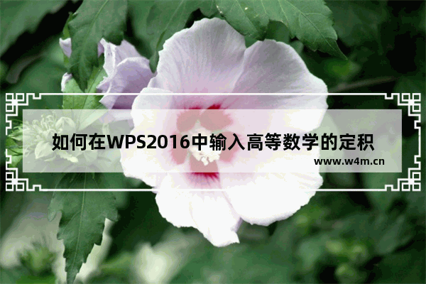 如何在WPS2016中输入高等数学的定积分公式