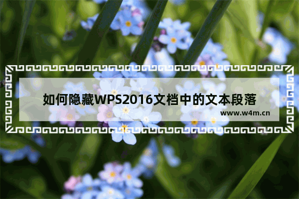 如何隐藏WPS2016文档中的文本段落