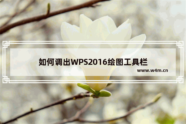 如何调出WPS2016绘图工具栏